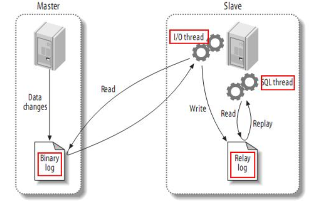 image-20210827101814389